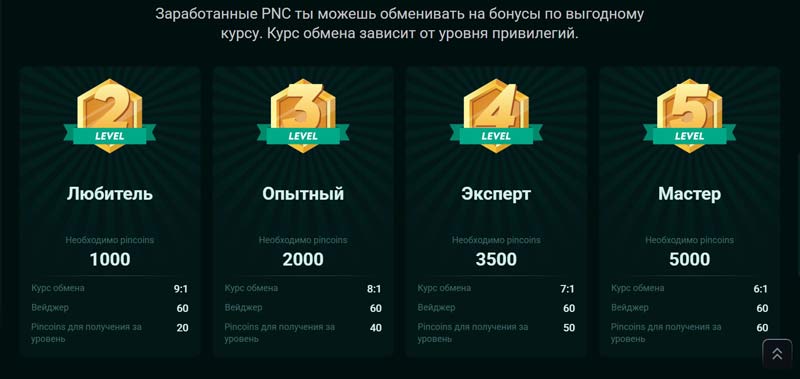 Профиль игрока