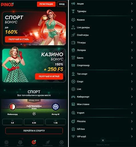 Внешний вид